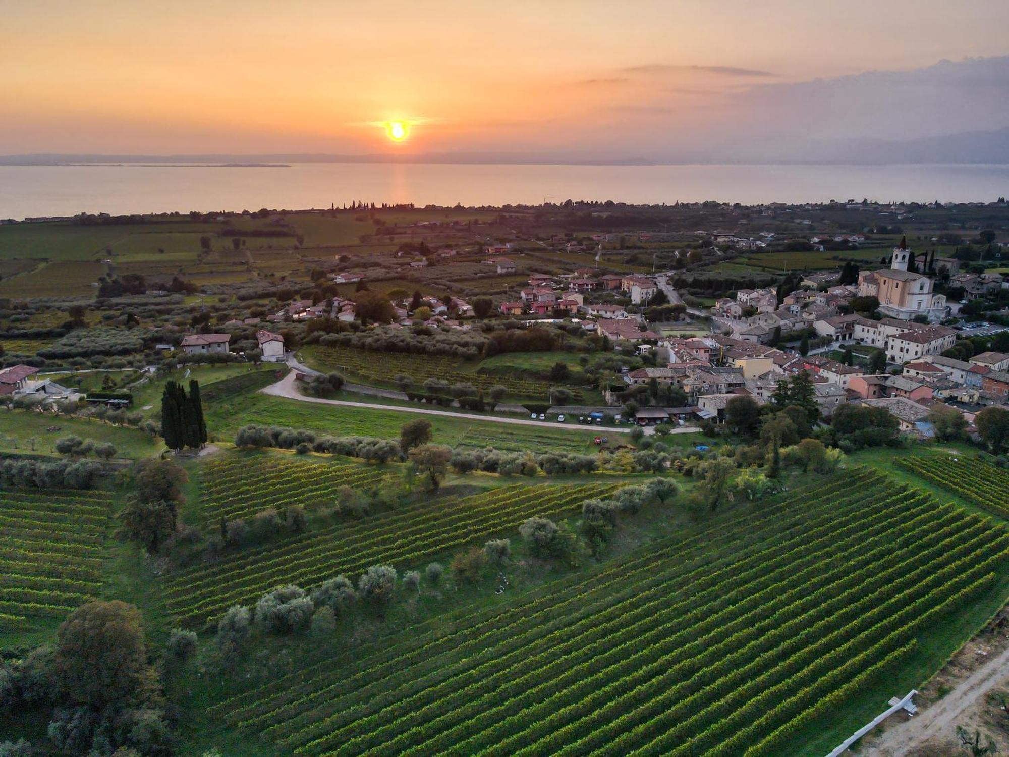 Villa Calicantus Bardolino Eksteriør billede